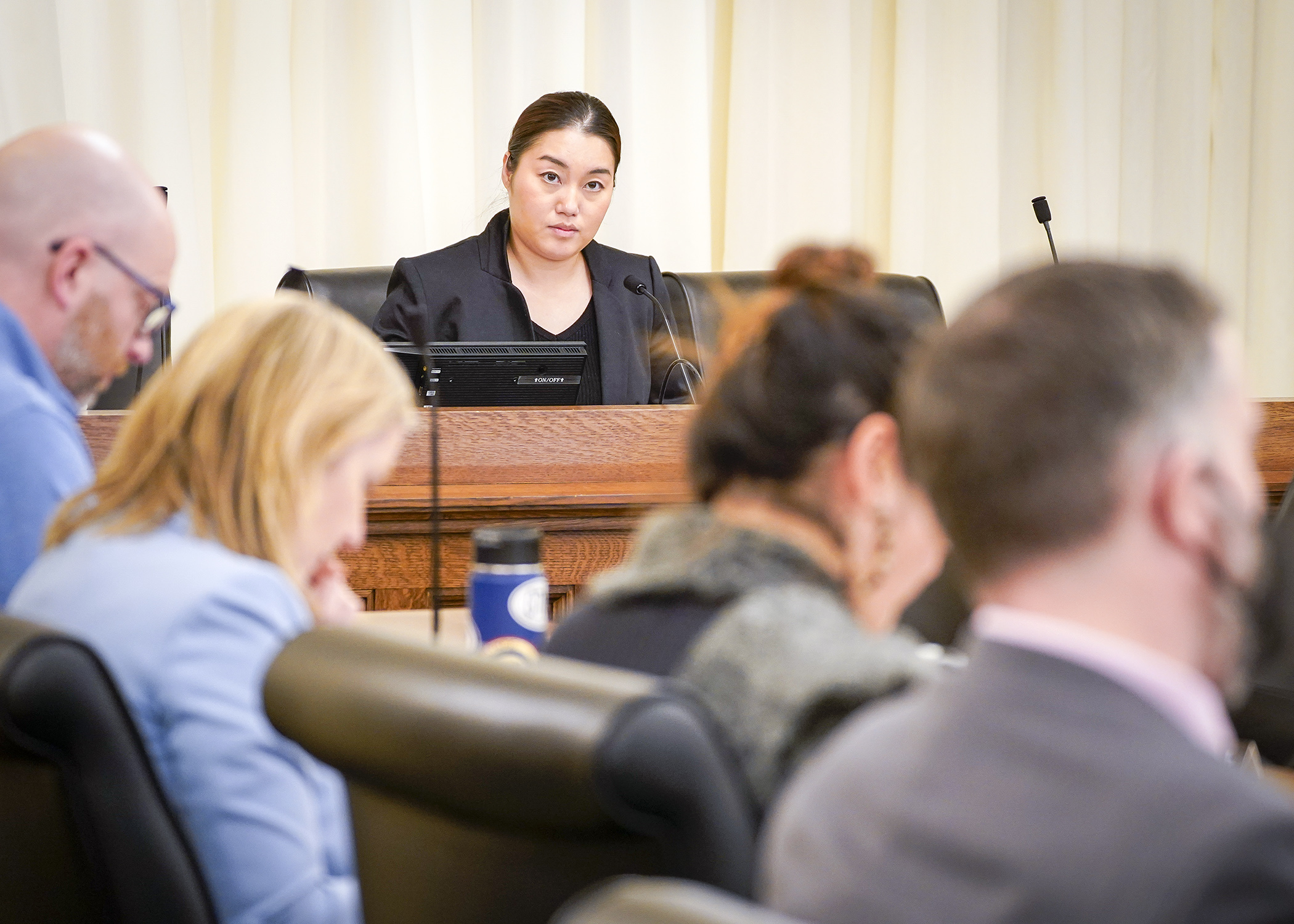 Rep. Samantha Vang, chair of the House Agriculture Finance and Policy Committee, presents the omnibus agriculture policy bill to the committee March 21. (Photo by Andrew VonBank)